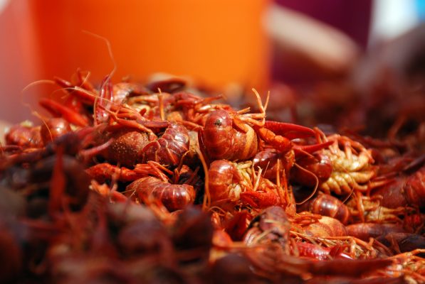 Crawfish Close-Up 1